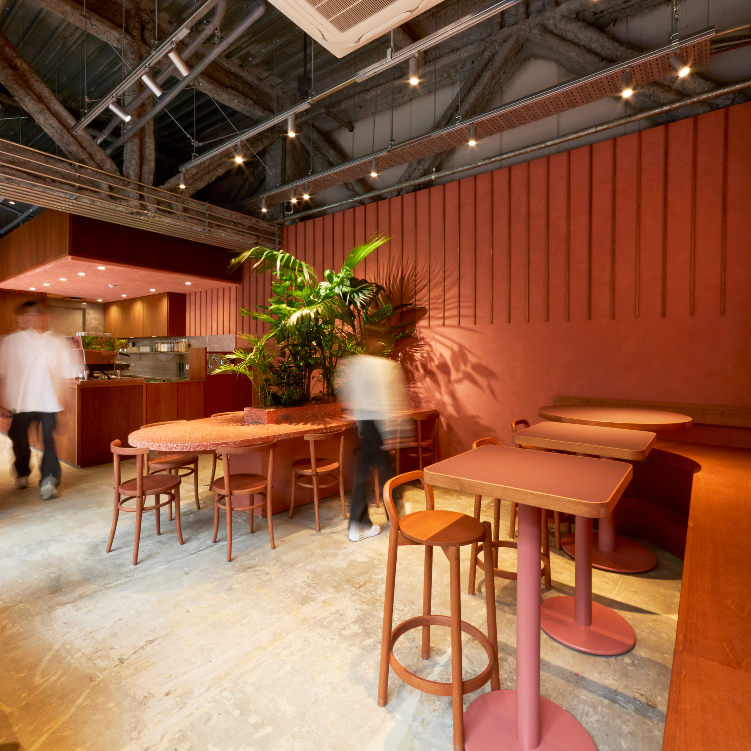 SUGARY Store Concept ALL DAY ACAI CAFE